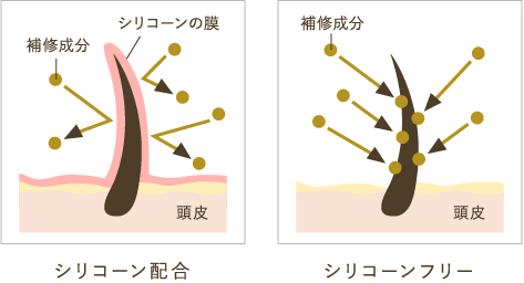 シリコーンイメージ